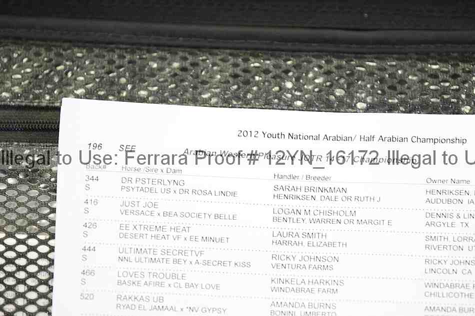 Proof Number 12yn_16172