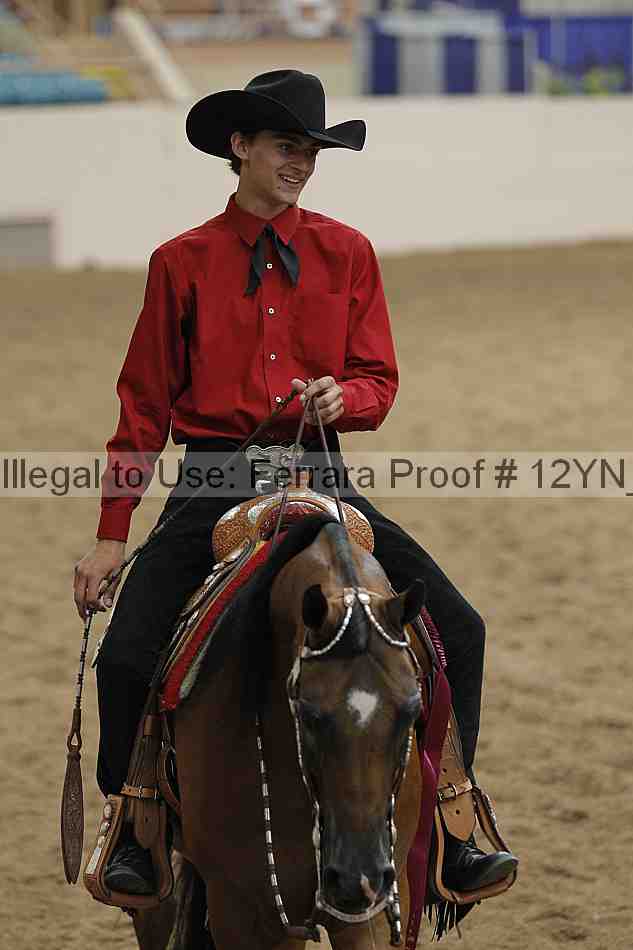 Proof Number 12yn_16229