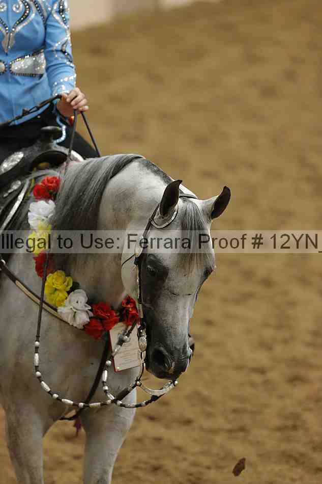 Proof Number 12yn_16270