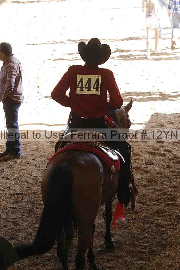 Proof Number 12yn_16285