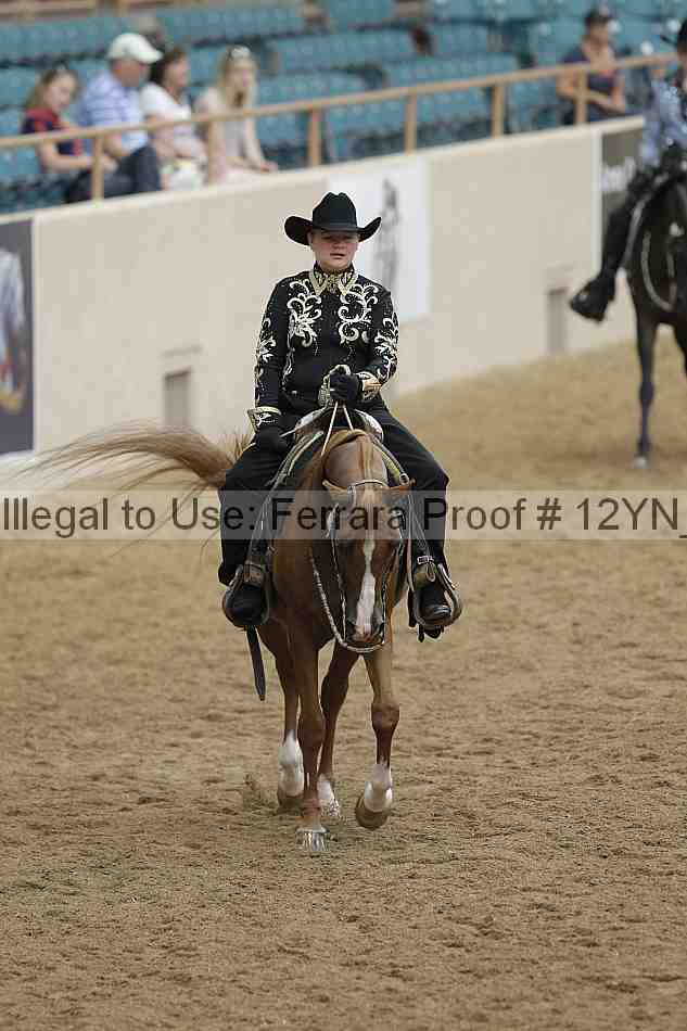 Proof Number 12yn_08869
