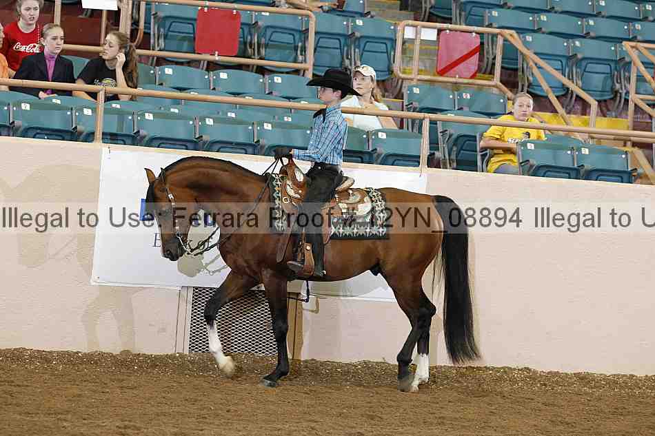 Proof Number 12yn_08894
