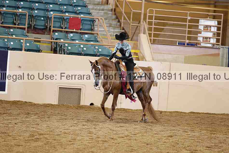 Proof Number 12yn_08911