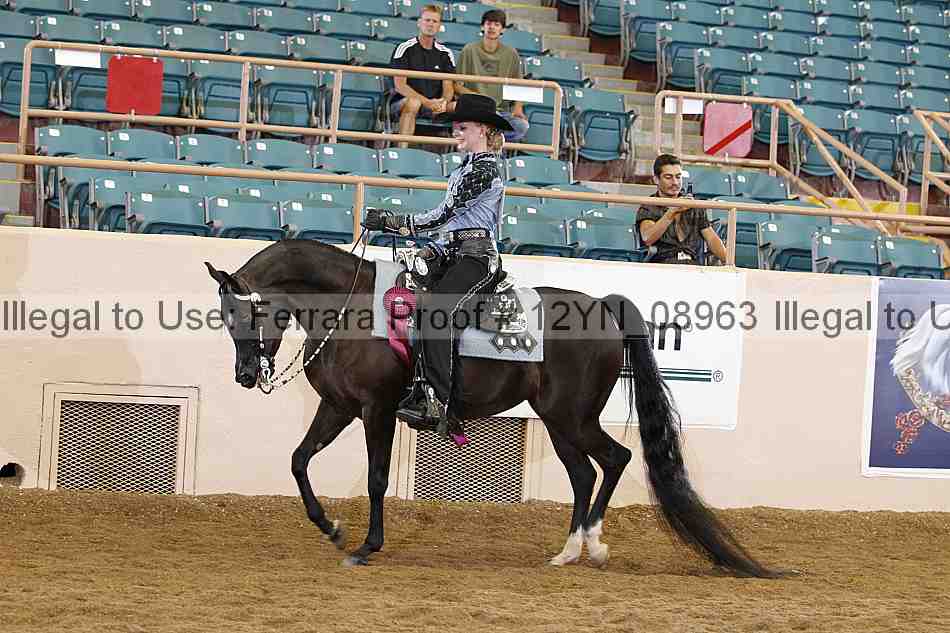 Proof Number 12yn_08963