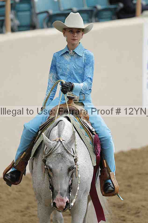 Proof Number 12yn_08965