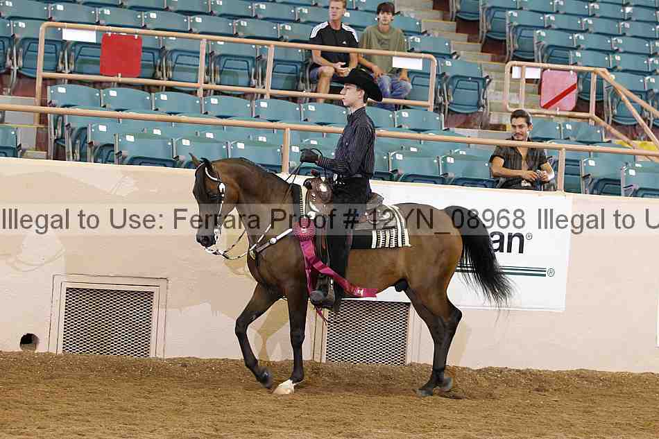 Proof Number 12yn_08968