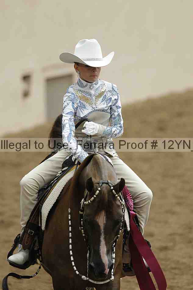 Proof Number 12yn_08973