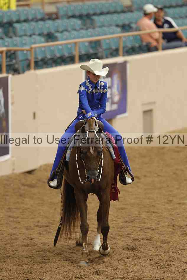 Proof Number 12yn_08985