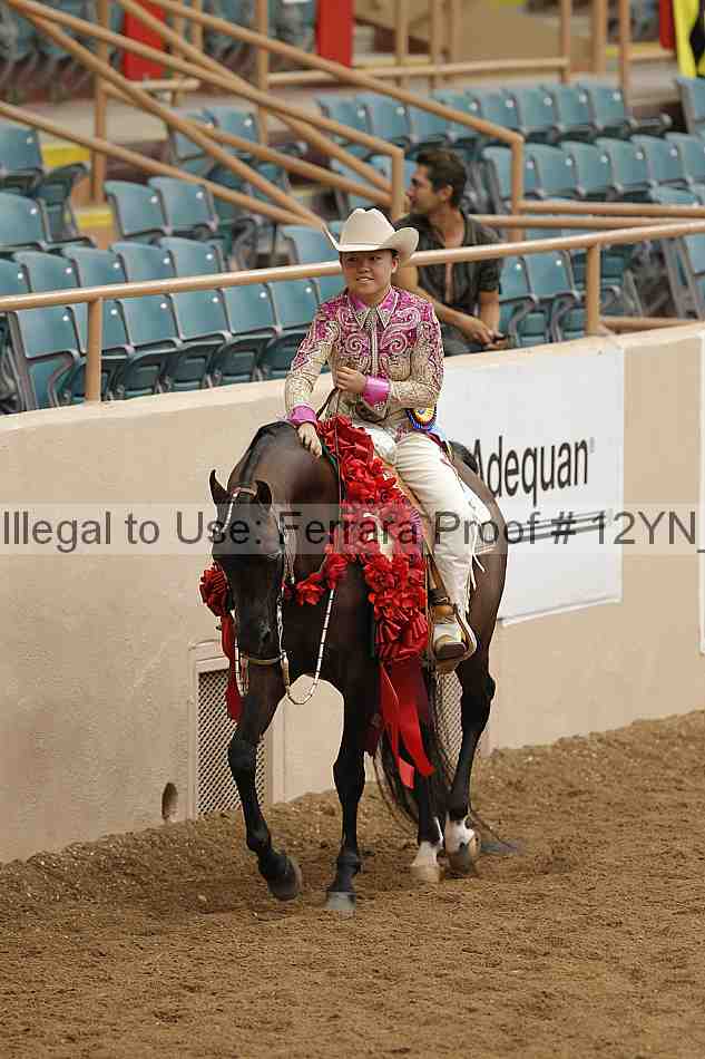 Proof Number 12yn_09006