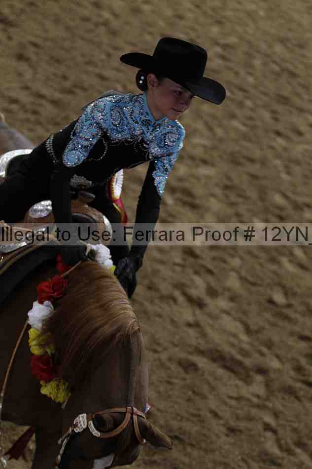 Proof Number 12yn_09007