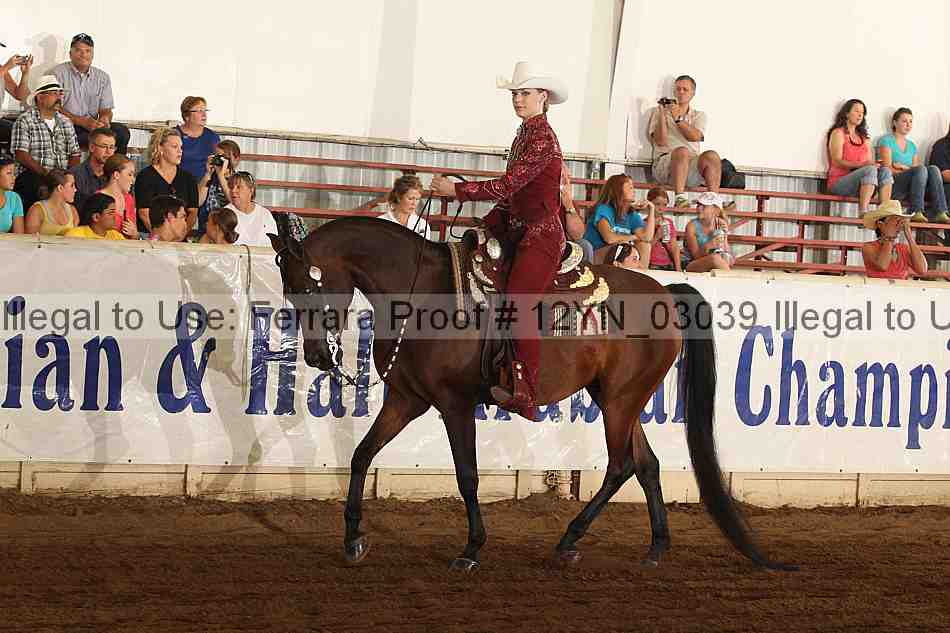 Proof Number 12yn_03039