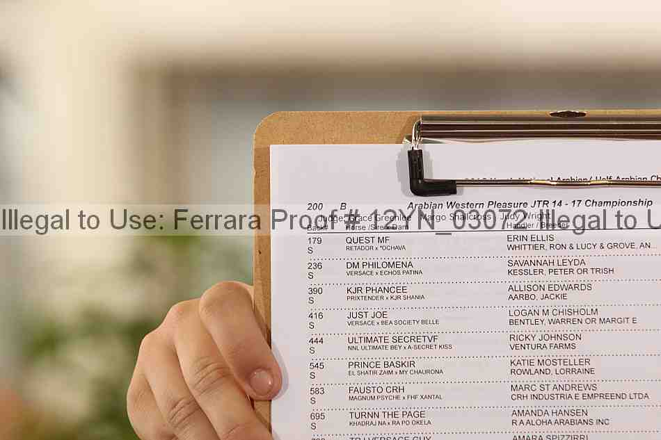 Proof Number 12yn_03072