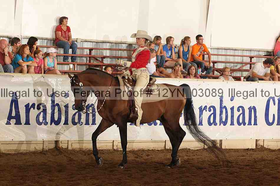 Proof Number 12yn_03089