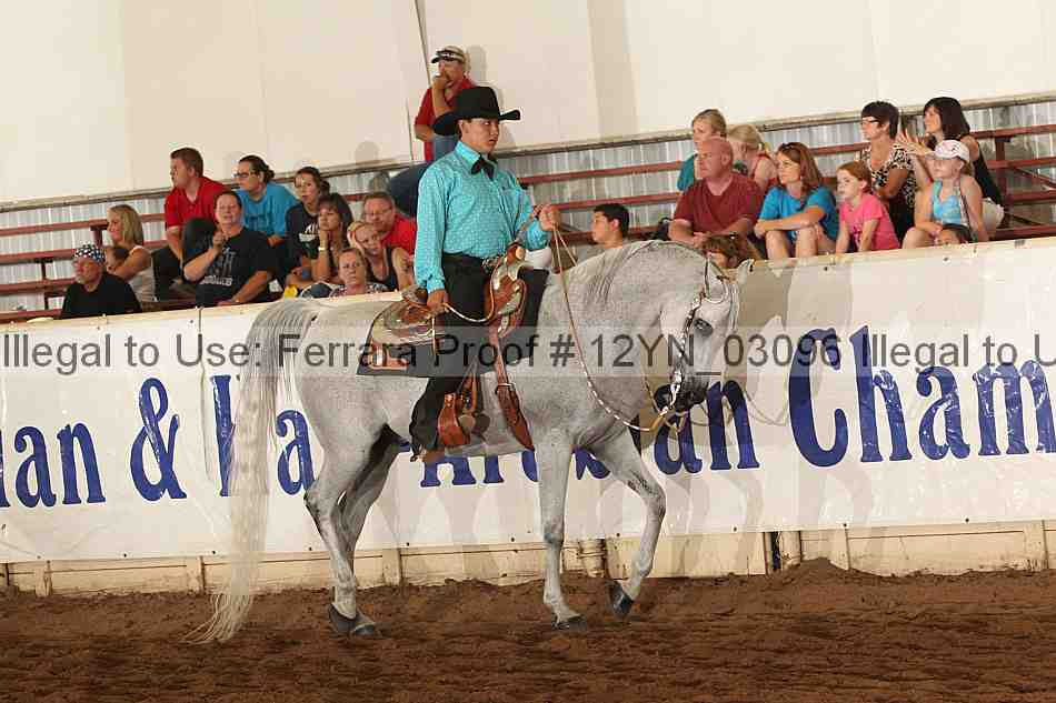 Proof Number 12yn_03096