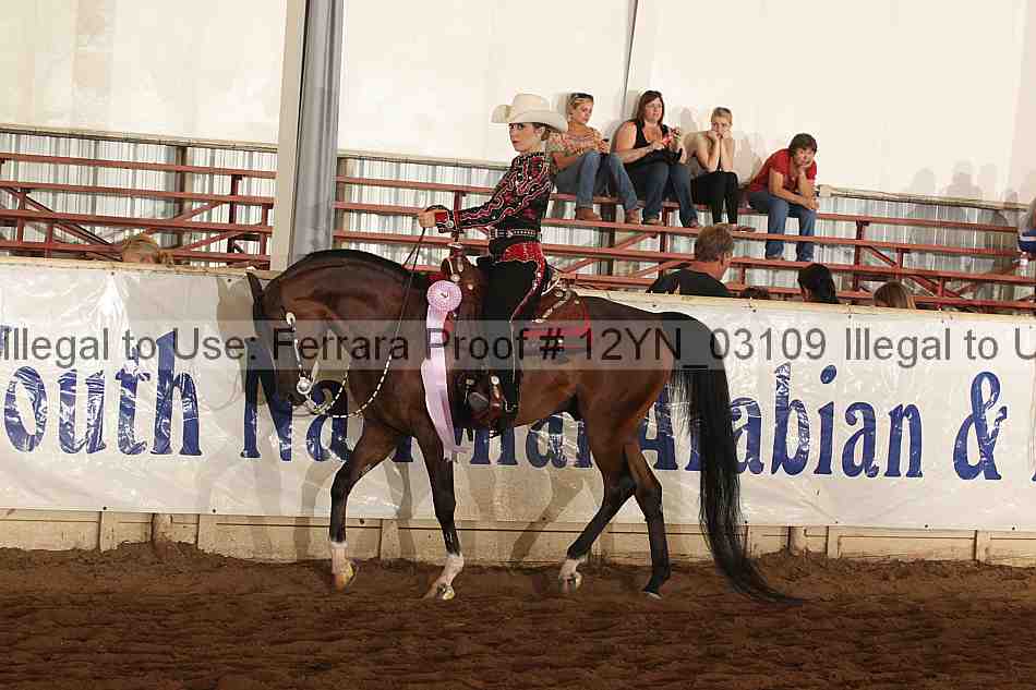 Proof Number 12yn_03109
