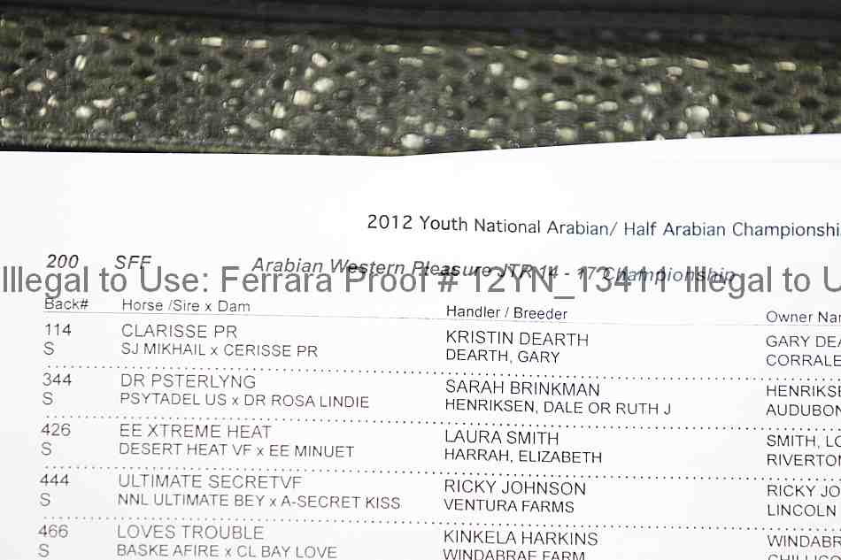 Proof Number 12yn_13411