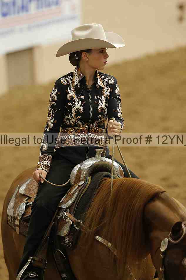 Proof Number 12yn_13495