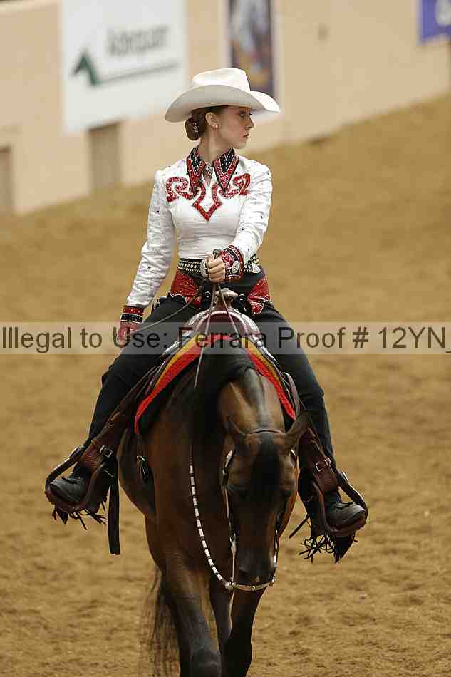 Proof Number 12yn_13496