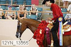 12yn_13555 thumbnail