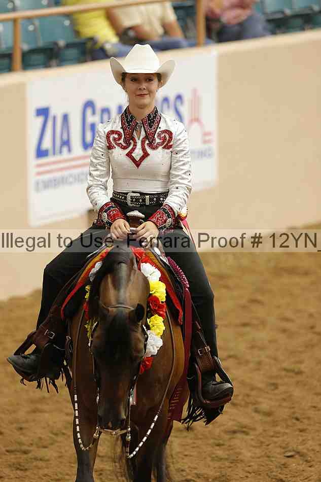 Proof Number 12yn_13601