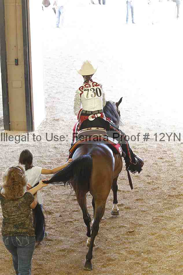 Proof Number 12yn_13618