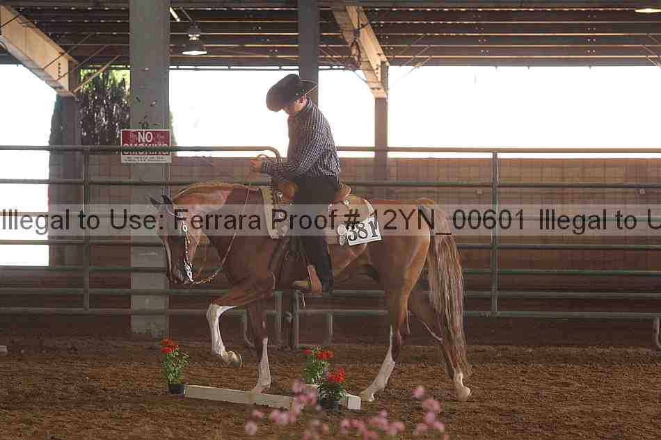Proof Number 12yn_00601