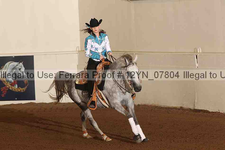 Proof Number 12yn_07804
