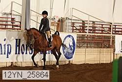 12yn_25864 thumbnail