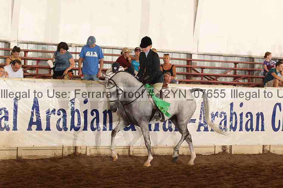 Proof Number 12yn_07655