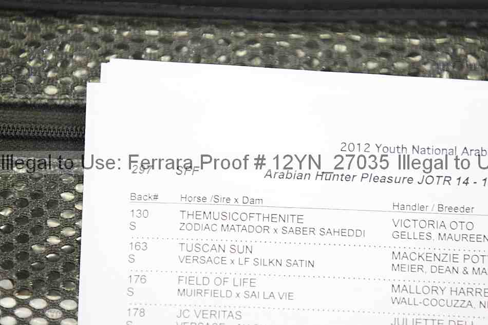 Proof Number 12yn_27035