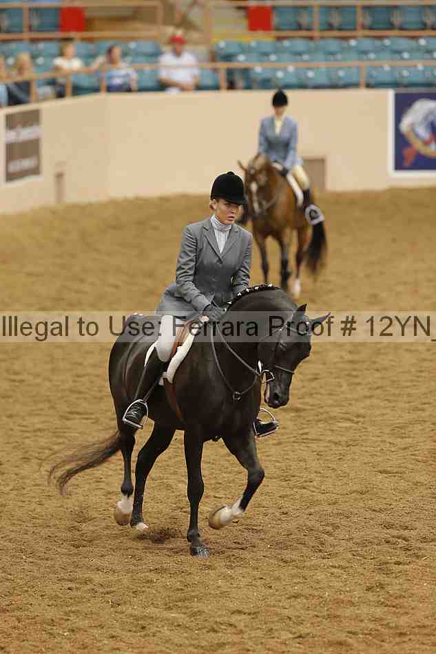 Proof Number 12yn_27057