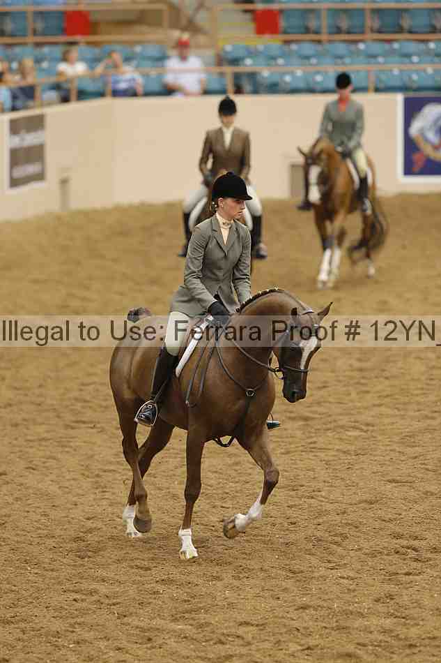 Proof Number 12yn_27062