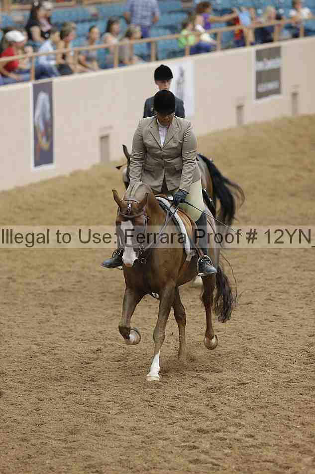Proof Number 12yn_27092