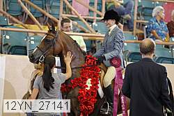 12yn_27141 thumbnail