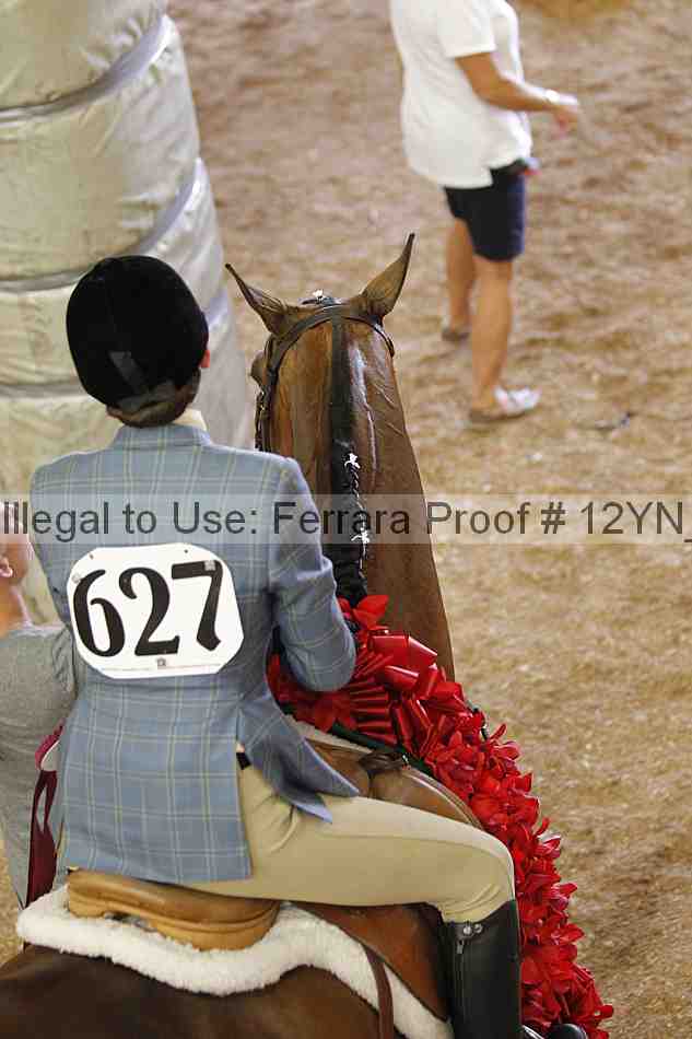 Proof Number 12yn_27220