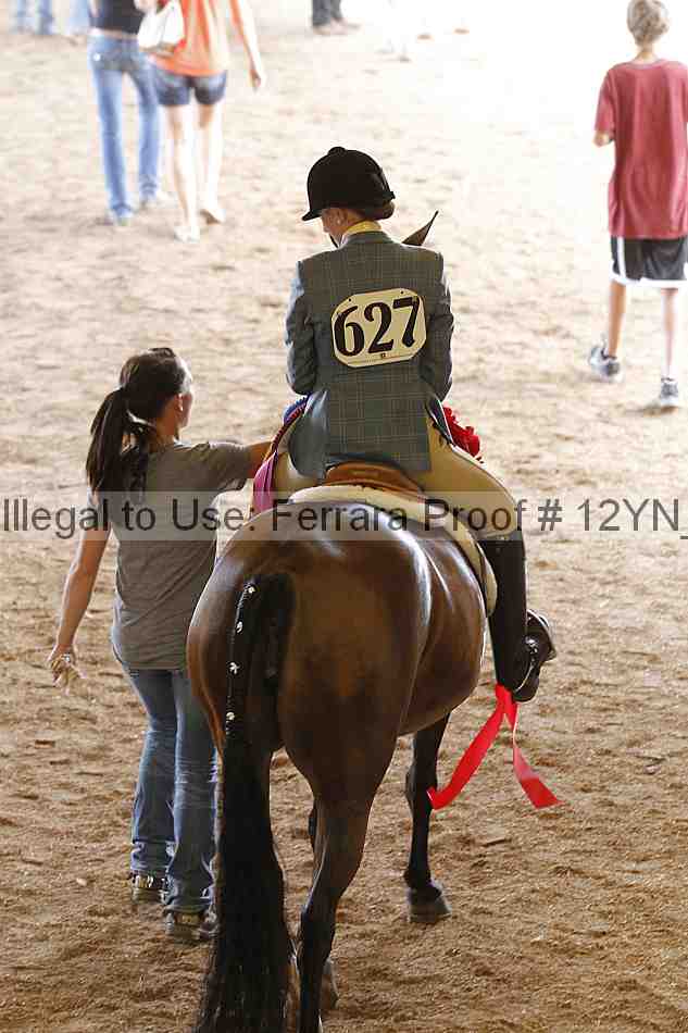 Proof Number 12yn_27224