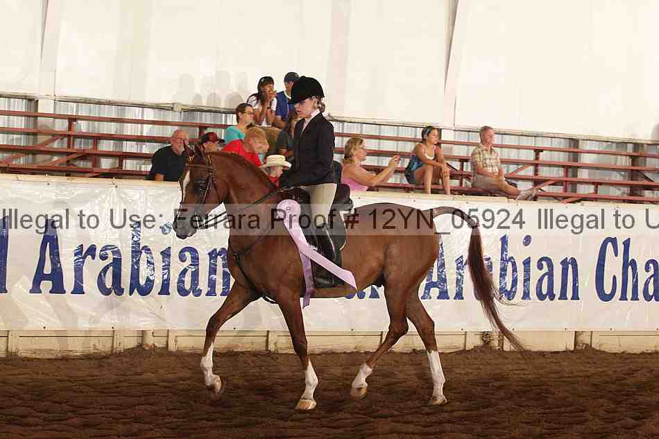 Proof Number 12yn_05924
