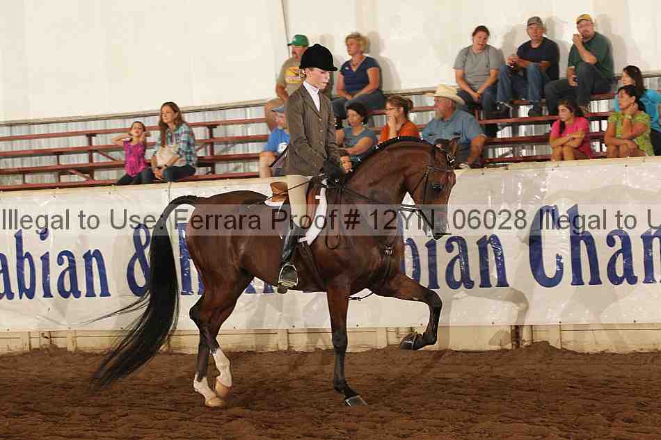 Proof Number 12yn_06028
