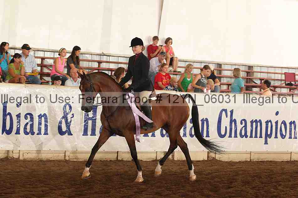 Proof Number 12yn_06031