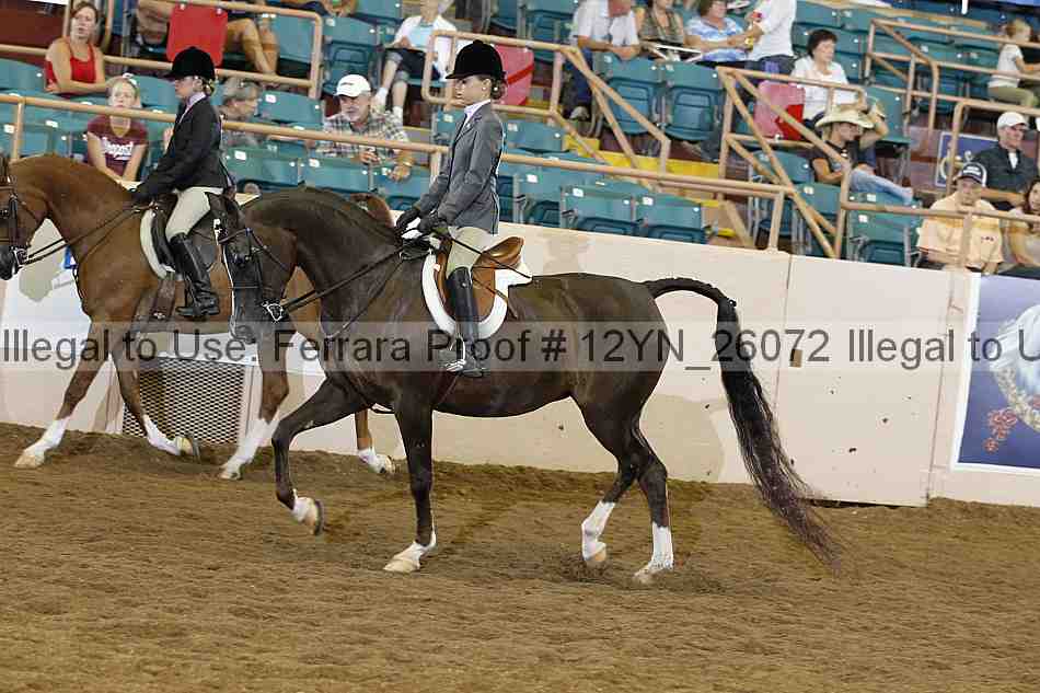 Proof Number 12yn_26072