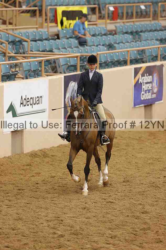 Proof Number 12yn_26094