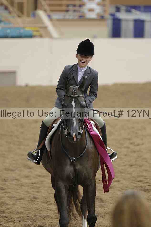 Proof Number 12yn_26188