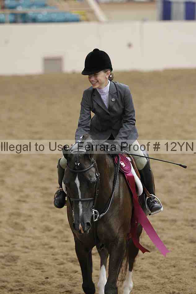 Proof Number 12yn_26191