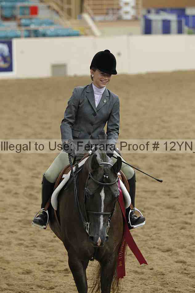 Proof Number 12yn_26193