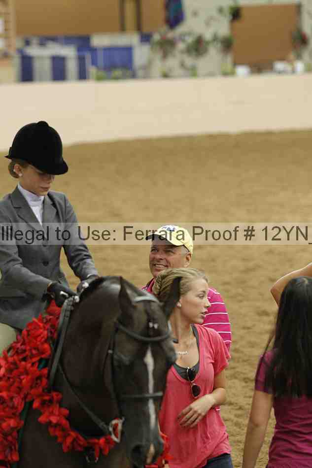 Proof Number 12yn_26214
