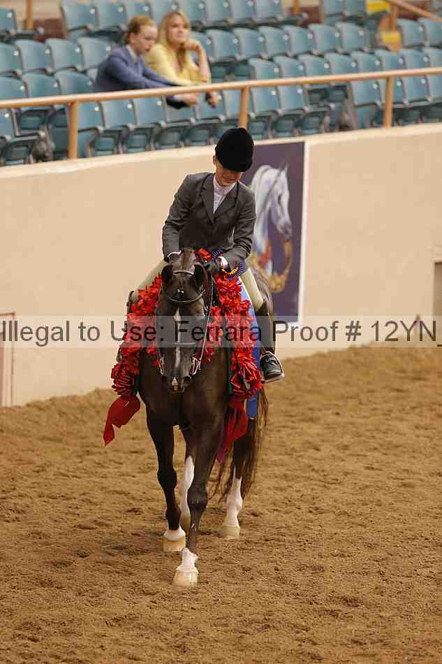 Proof Number 12yn_26227