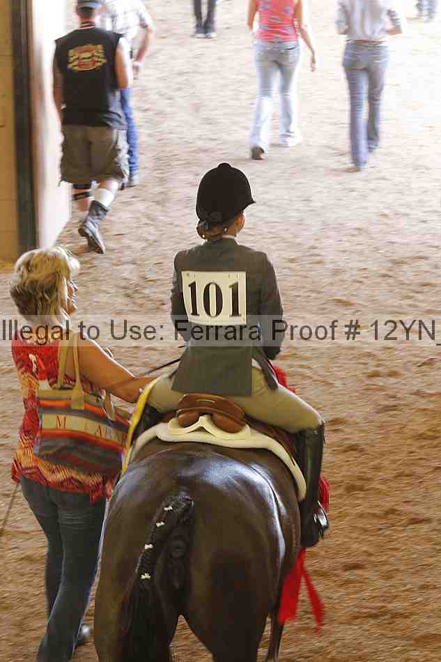 Proof Number 12yn_26294