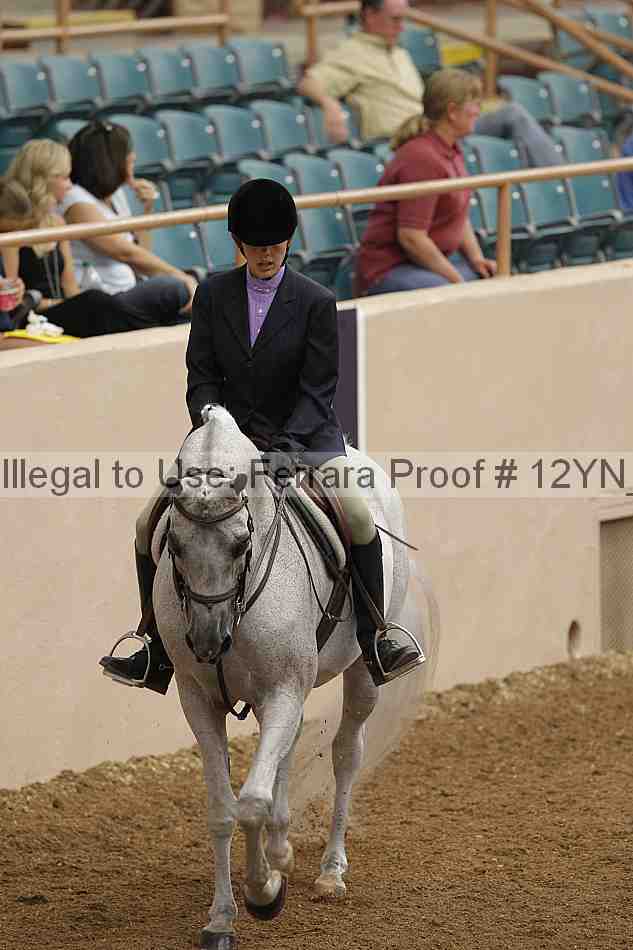 Proof Number 12yn_03220