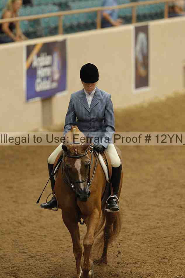 Proof Number 12yn_03225