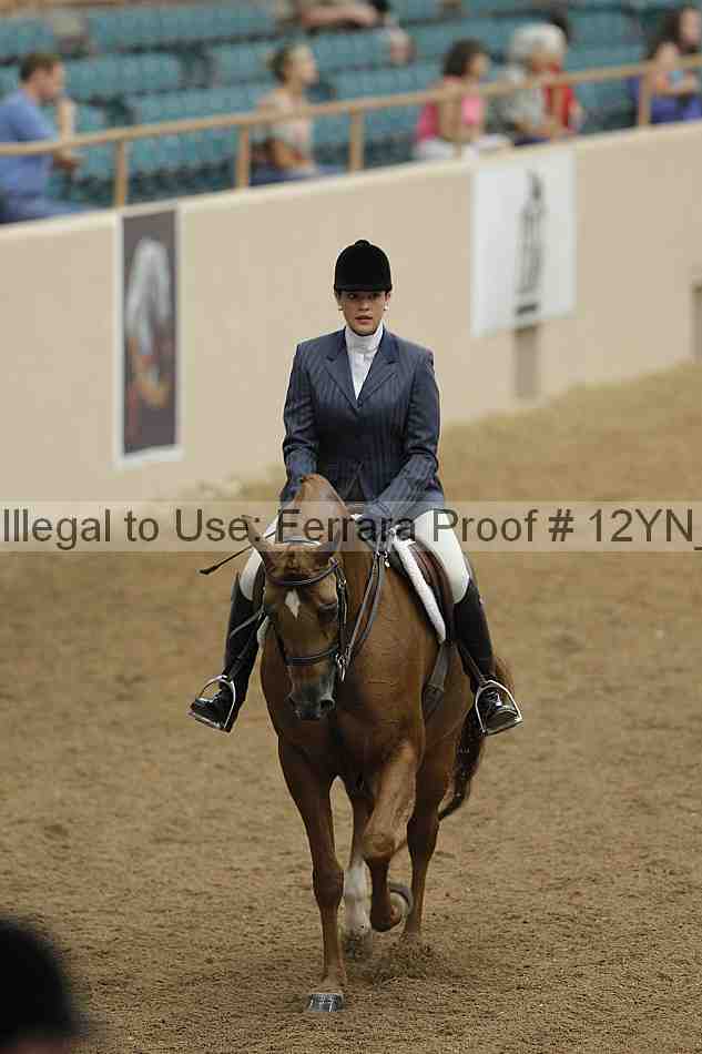 Proof Number 12yn_03245